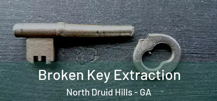 Broken Key Extraction North Druid Hills - GA