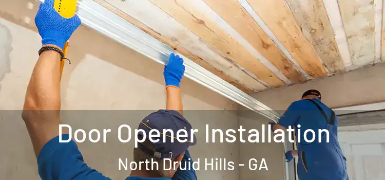 Door Opener Installation North Druid Hills - GA