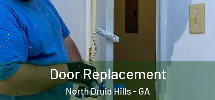Door Replacement North Druid Hills - GA