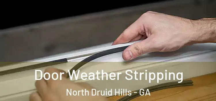 Door Weather Stripping North Druid Hills - GA