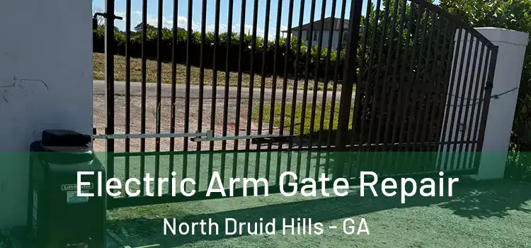 Electric Arm Gate Repair North Druid Hills - GA
