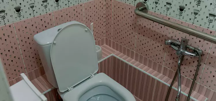 Meeting Diverse Needs With Accessible Restroom Solutions in North Druid Hills, GA
